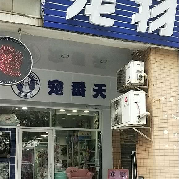 宠番天:佛山市禅城区岭南大道北附近
