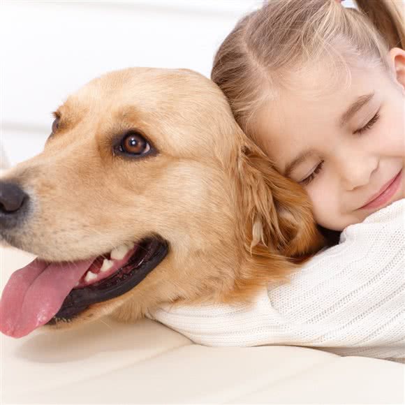 派多格宠物(滨江1号店):佛山市南海区万达广场/金融城附近