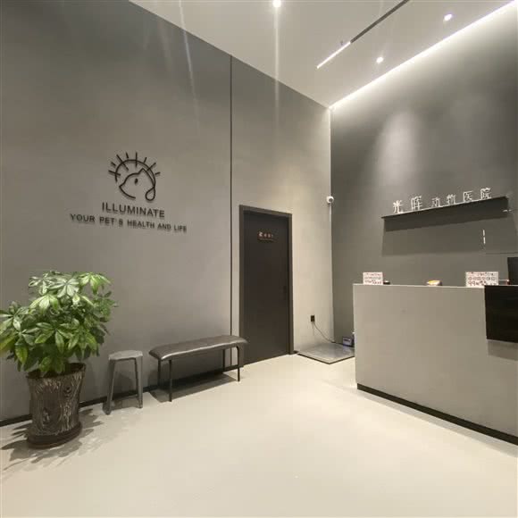 光晖24小时动物医院:佛山市南海区万达广场/金融城附近