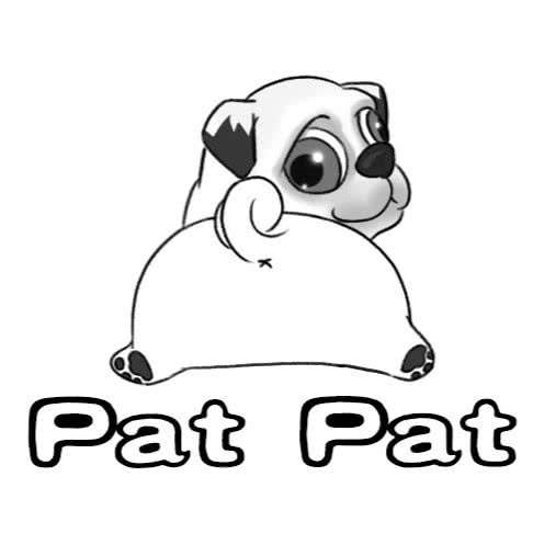 派派宠物店·撸猫馆:佛山市南海区千灯湖附近