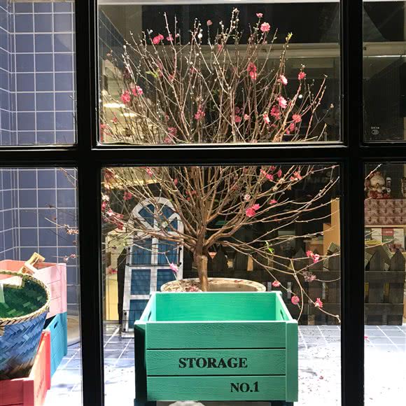 宠它生活:佛山市南海区石啃附近