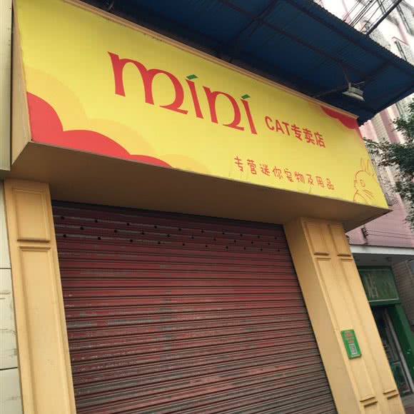 喵叮屋pet shop:佛山市南海区大沥附近