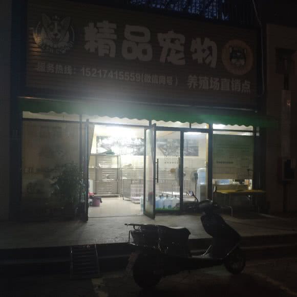 精品宠物:佛山市南海区大沥附近