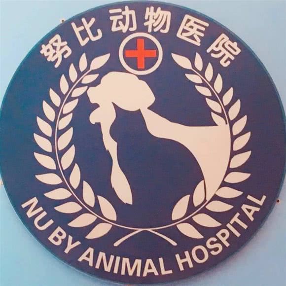 努比动物医院:佛山市南海区大沥附近