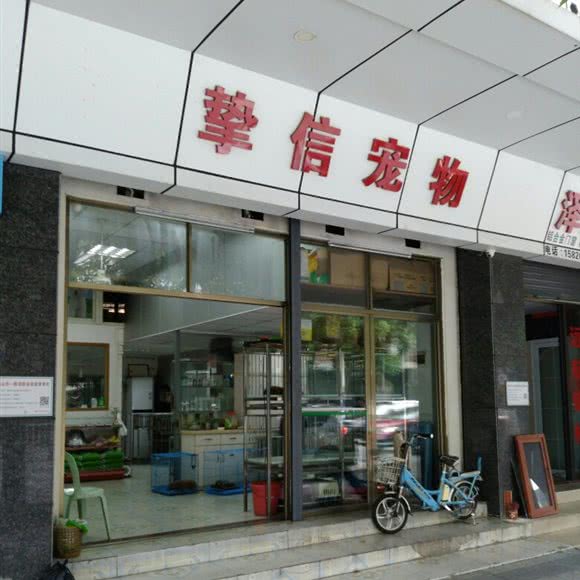 挚信宠物:佛山市南海区南海大道/南海广场附近