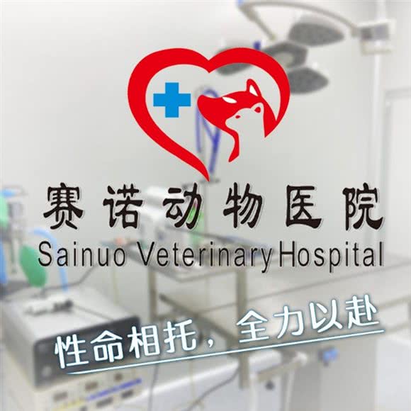 赛诺宠物医院:佛山市南海区鸿大广场附近