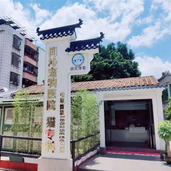 同沁宠物医院:佛山市南海区鸿大广场附近