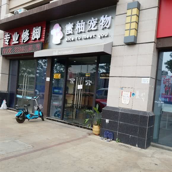 蜜柚宠物:佛山市南海区罗村附近