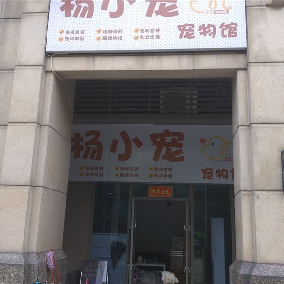 杨小宠宠物馆:佛山市南海区城市广场/新天地附近
