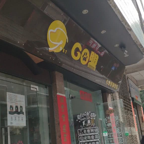 GO盟专业宠物美容:佛山市南海区西樵附近