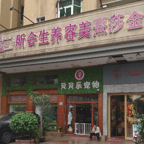 贝贝乐宠物狗:佛山市南海区西樵附近