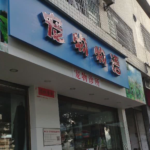 宠物物语:佛山市南海区西樵附近