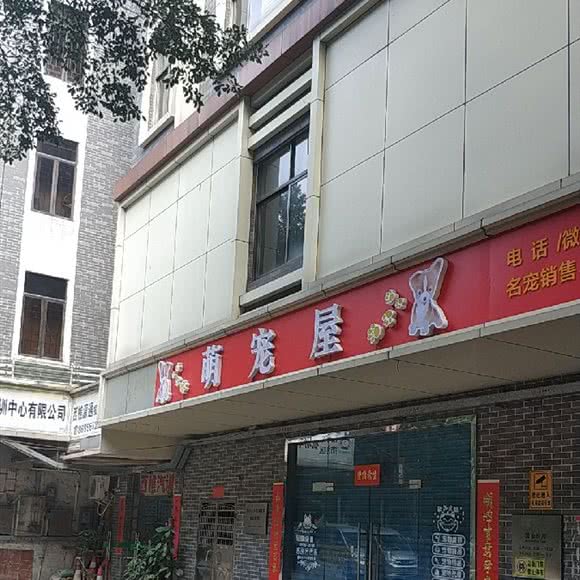 萌宠屋:佛山市南海区西樵附近