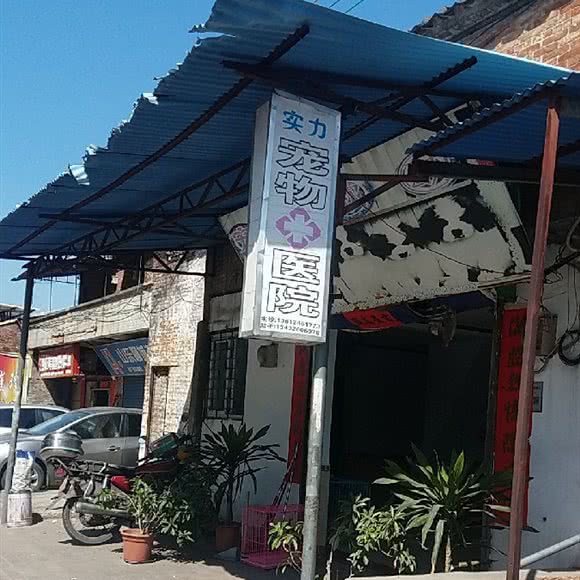 实力宠物医院:佛山市南海区西樵附近