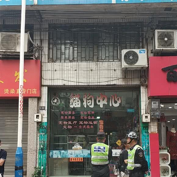 猫狗中心:佛山市南海区黄岐附近