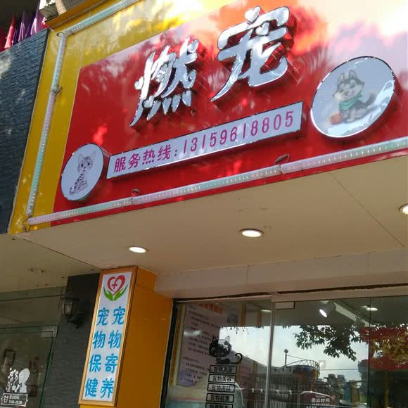 燃宠:佛山市南海区黄岐附近