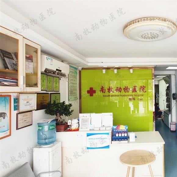 南牧动物医院(中山九路店):佛山市南海区黄岐附近