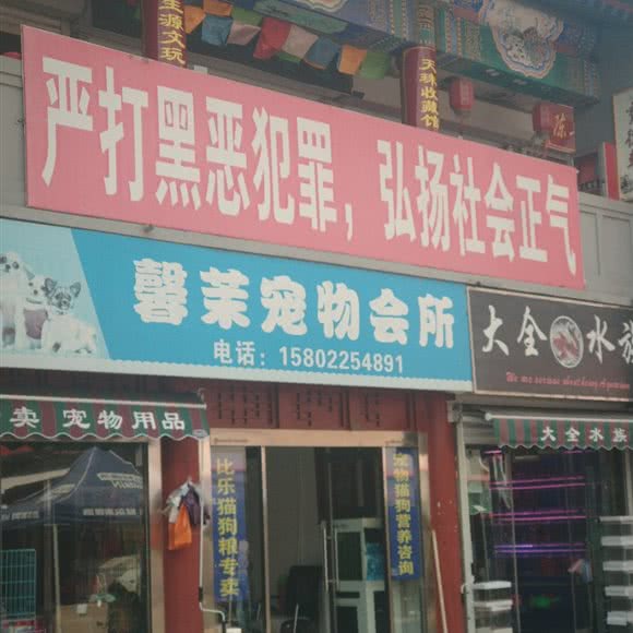 馨茉宠物诊所:天津城区滨海新区塘沽城区附近