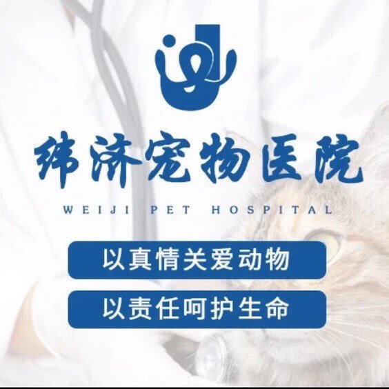 纬济宠物医院:佛山市南海区黄岐附近