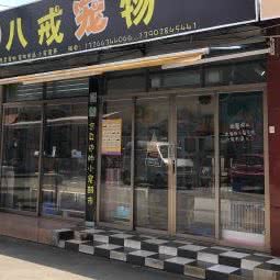 八戒宠物:佛山市南海区九江附近