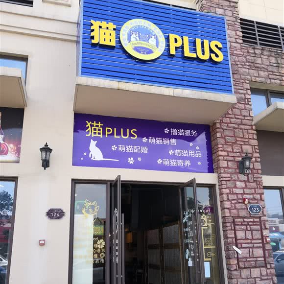 猫PLUS:佛山市南海区九江附近