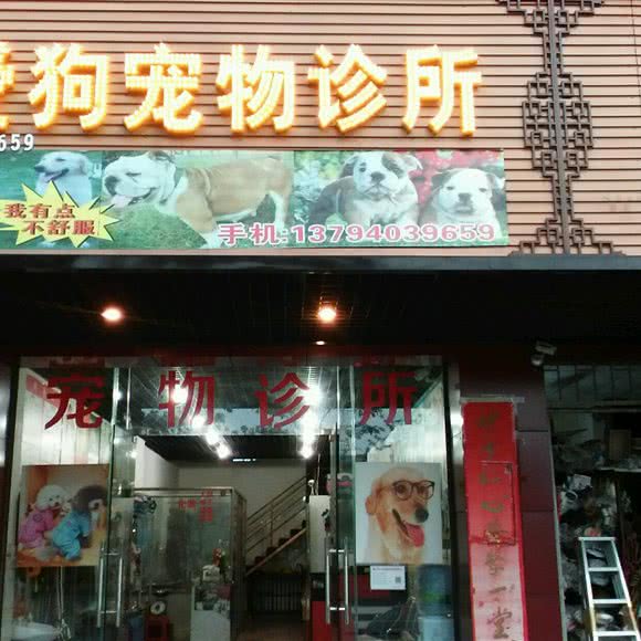 爱狗宠物诊所:佛山市南海区九江附近