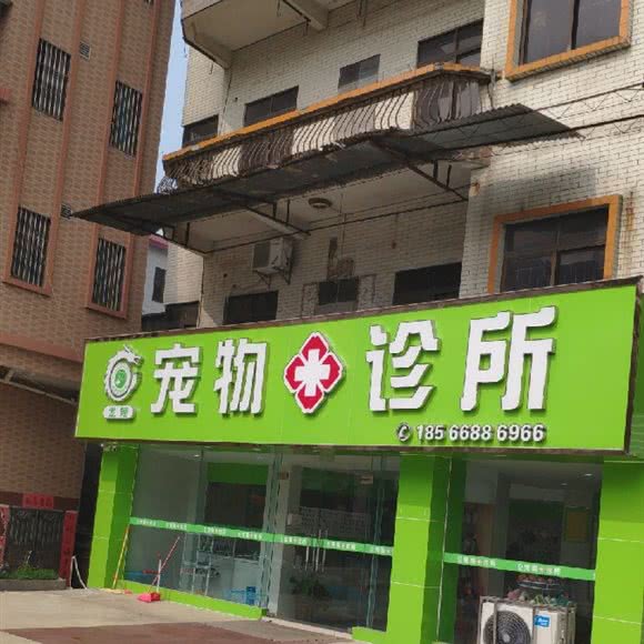 龙翔宠物诊所:佛山市南海区九江附近
