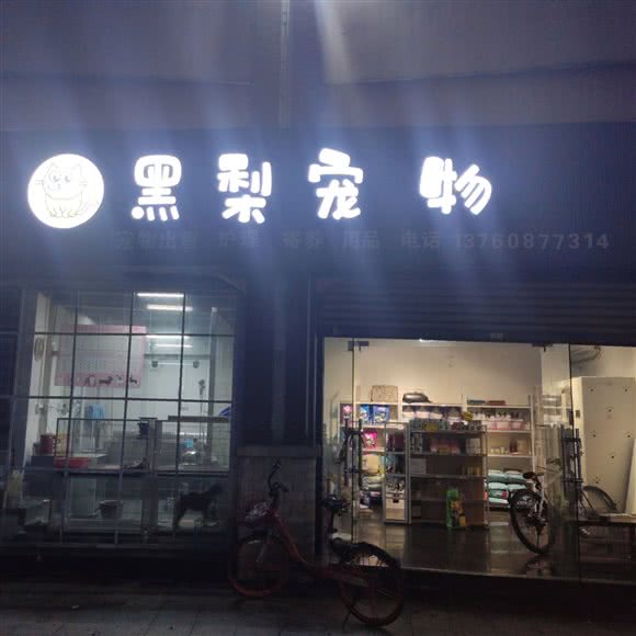 黑梨宠物店:佛山市南海区盐步附近