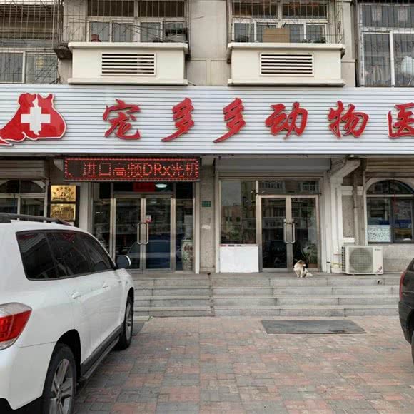 宠多多动物医院:天津城区滨海新区塘沽城区附近