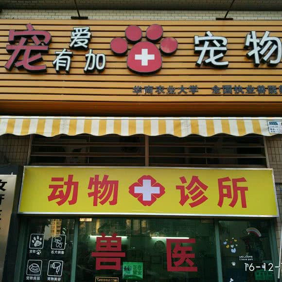 宠爱有加宠物诊所:佛山市南海区盐步附近
