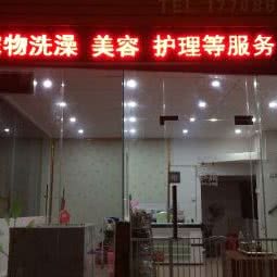 元莱宠物:佛山市南海区松岗附近