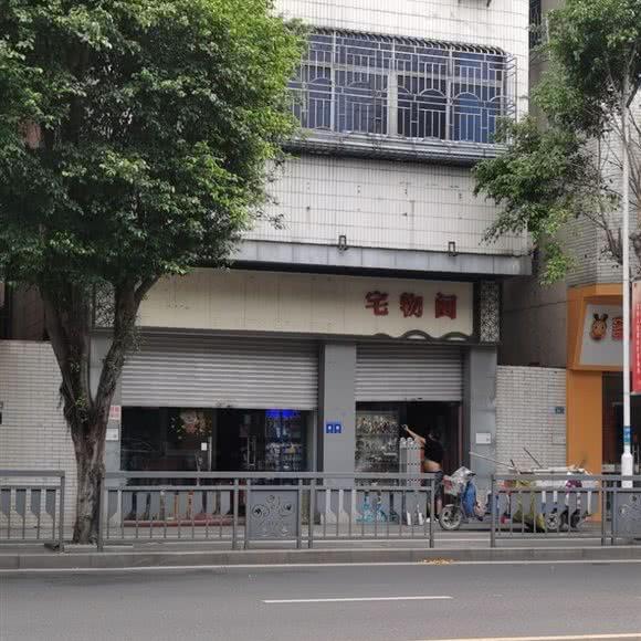 宠物阁:佛山市南海区里水附近