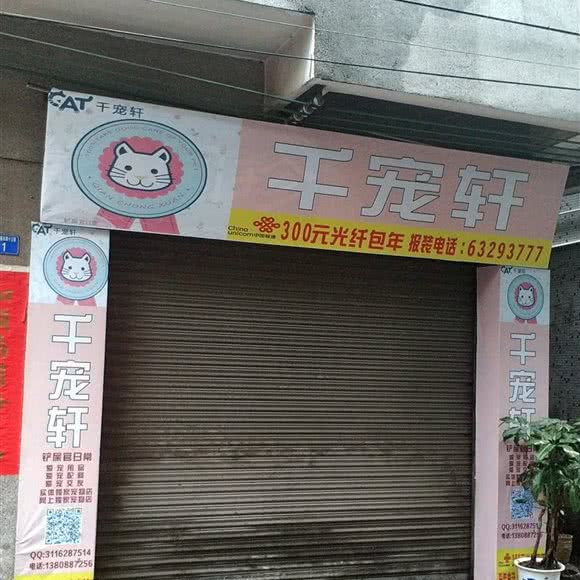 千宠轩:佛山市南海区平洲附近