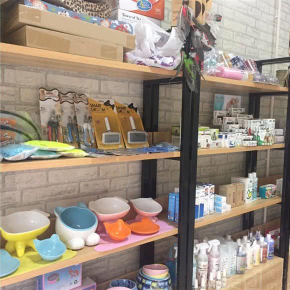 宠物狗4S店:佛山市南海区平洲附近