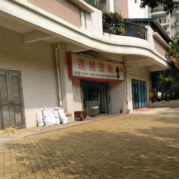莲姐宠物:佛山市南海区平洲附近