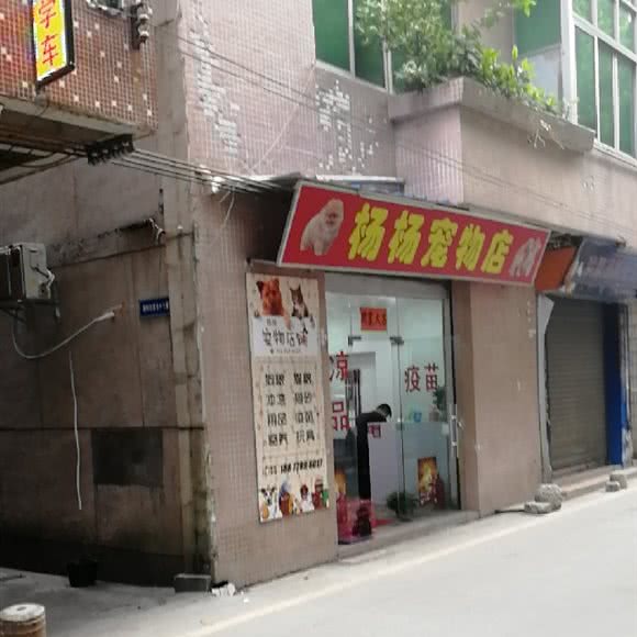 杨杨宠物店:佛山市南海区平洲附近