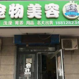 好主人宠物美容乐园:天津城区滨海新区大港城区附近