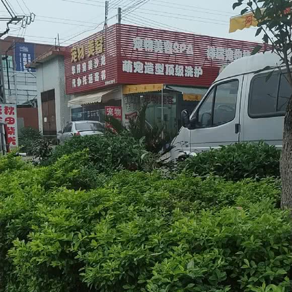 亦萌宠物:佛山市南海区宝盈广场附近