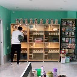 米多家宠物店:天津城区滨海新区大港城区附近