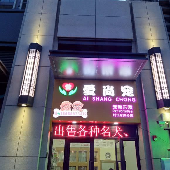 爱尚宠宠物乐园(时代水岸分店):佛山市南海区金沙洲附近