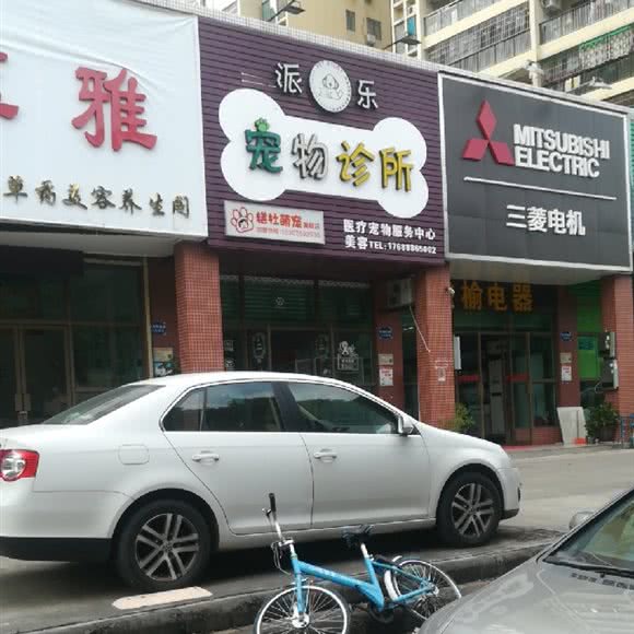 派乐宠物诊所(黄岐店):佛山市南海区金沙洲附近