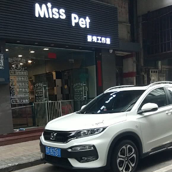 miss pet:佛山市南海区新都会附近