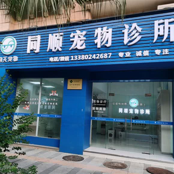同顺宠物狗诊所:佛山市顺德区大良街道附近
