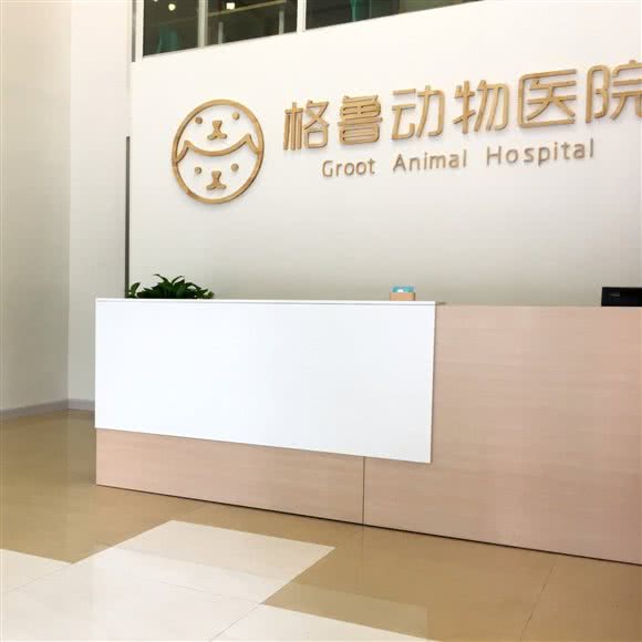 格鲁动物医院:佛山市顺德区大良街道附近