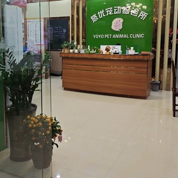 悠优宠动物诊所:佛山市顺德区龙江镇附近