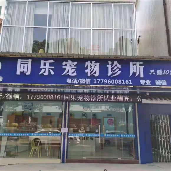 同乐宠物诊所:佛山市顺德区北滘镇附近