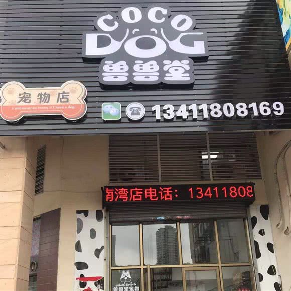 兽兽堂宠物(东海蓝湾店):佛山市三水区三水区附近