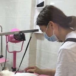 兽兽堂宠物(三水万达店):佛山市三水区三水区附近