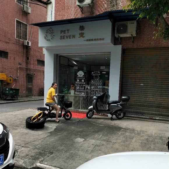 柒宠:佛山市三水区三水区附近