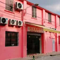 比比宠物中心:佛山市三水区三水区附近